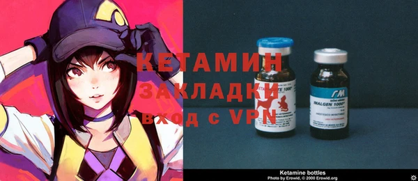 крисы Няндома