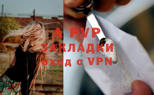 дурь Осташков