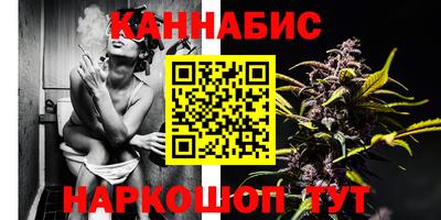 дмт Сланцы