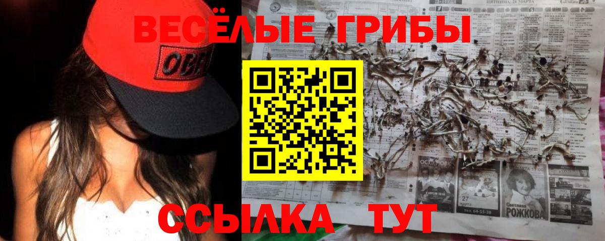 Галлюциногенные грибы Cubensis Саки